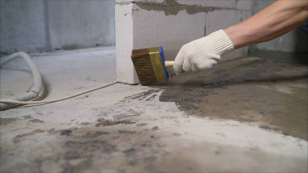 Top rated local Emergency Waterproofing specialists in Potterville, MI